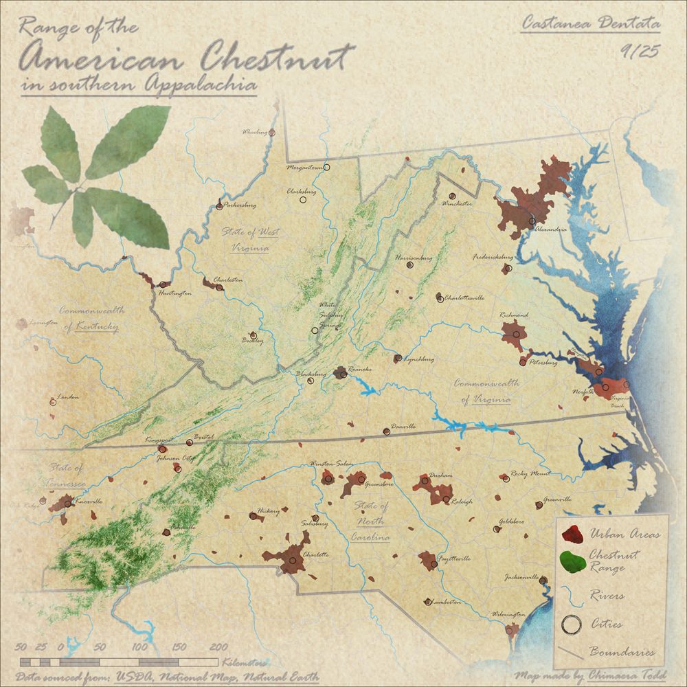 Map on a paper textured background showing the American chestnut range in green through Virginia, West Virginia, North Carolina and Tennessee, with urban areas in red.